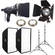 Impact Qualite 300W 2 Light Soft Kit (120VAC)