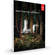 Adobe Photoshop Lightroom 5 Software for Mac and Windows (Download)