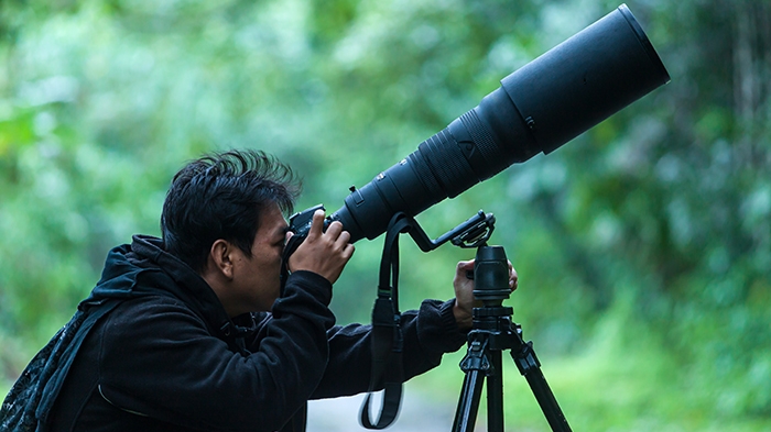 Picking a Lens for Birding and Wildlife Photography