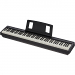 FP-10 Digital Piano