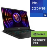 15.6" or 17.3" Gaming Laptops