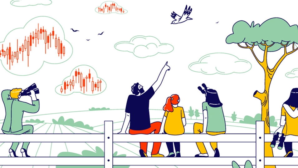 A Guide to Birding with Binoculars