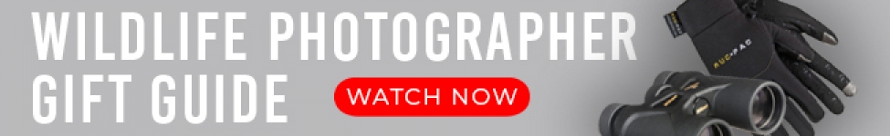 GearTelephoto_Header