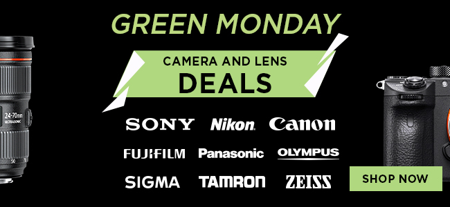 Green Monday Banner