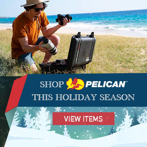 Pelican Banner