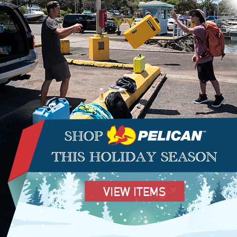 Pelican Banner