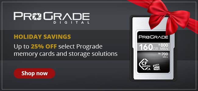 Prograde Banner
