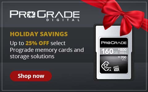 Prograde Banner