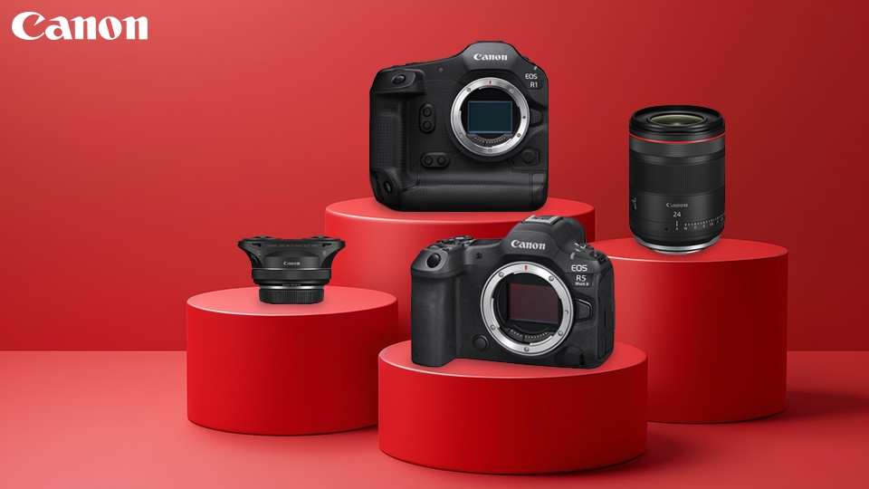 2024 Year in Review: Canon Cameras and Lenses