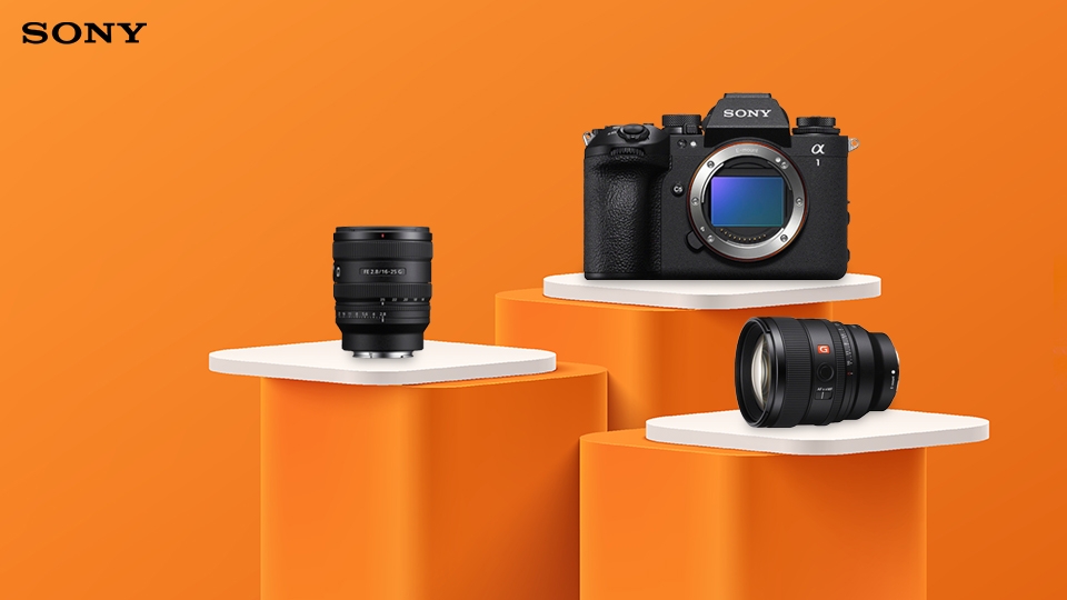 2024 Year in Review: Sony Cameras and Lenses