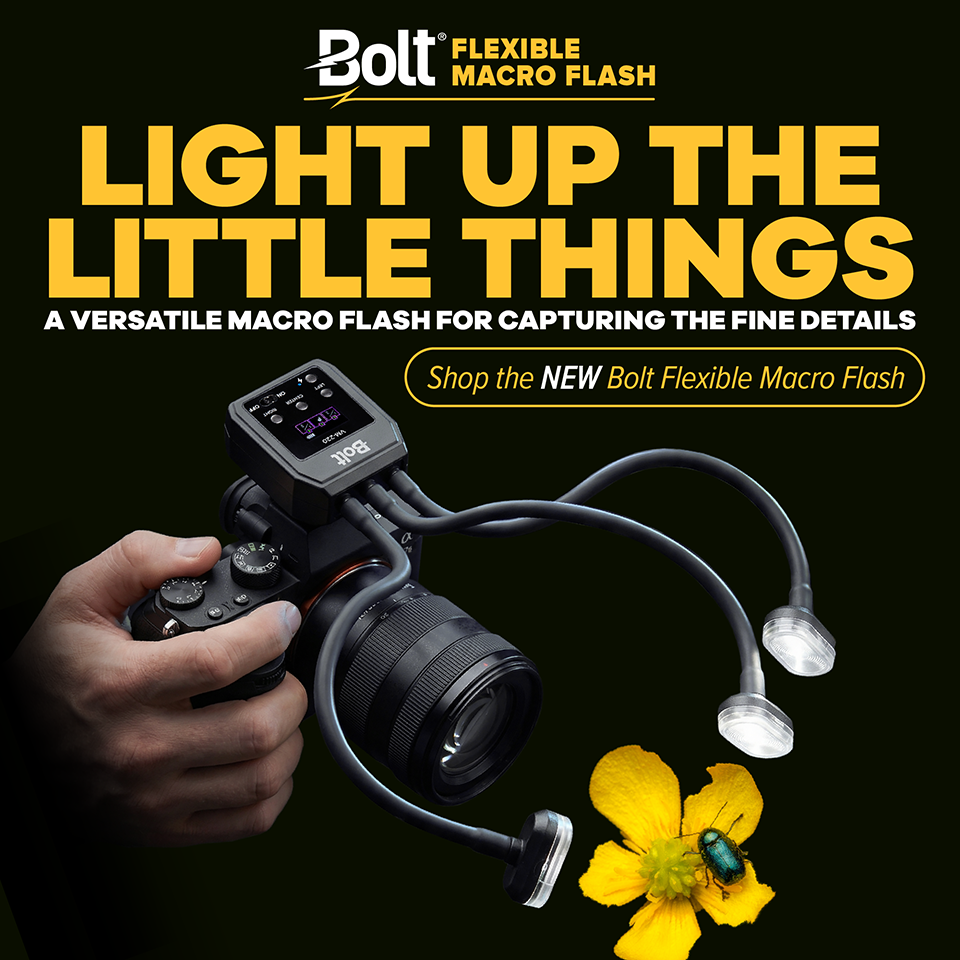 bolt banner 9-10