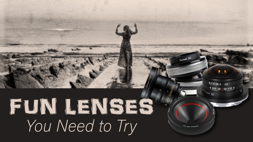 Fun & Fisheye: Creative Lenses to Try