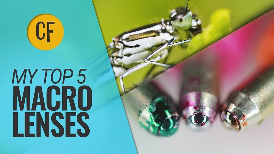 The 5 Best Macro Lenses You Can Buy — from Fstoppers