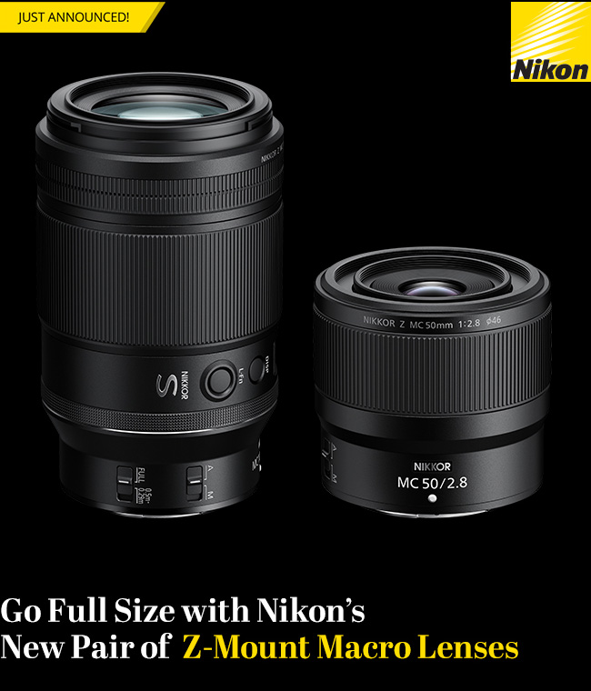 Bose Introduces its New Portable Home Speaker