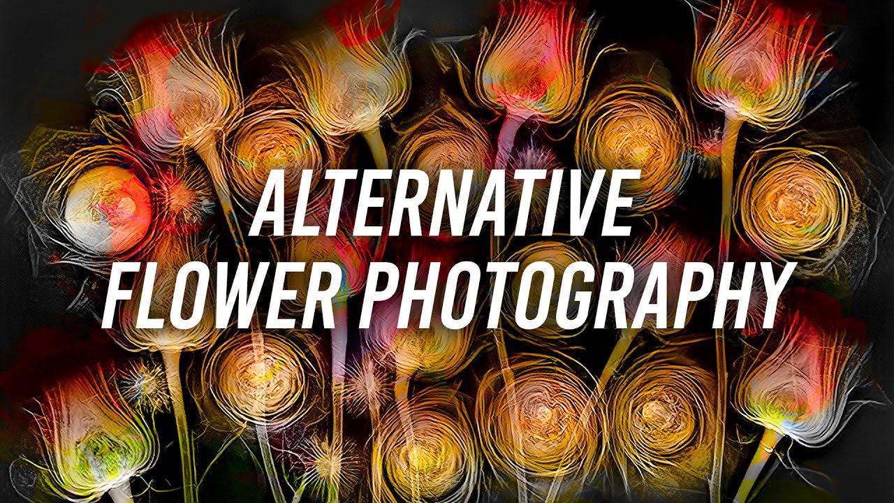 Alternative Flower Photography