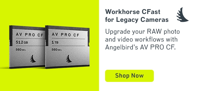 angelbird banner 2-28