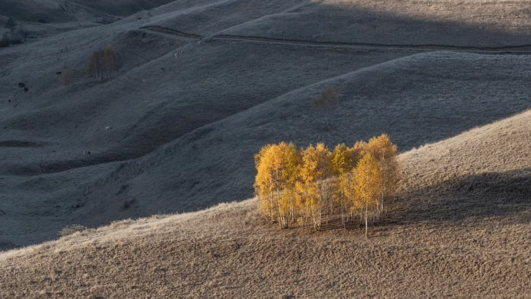 How to Capture Stunning Autumn Landscapes — from Fstoppers