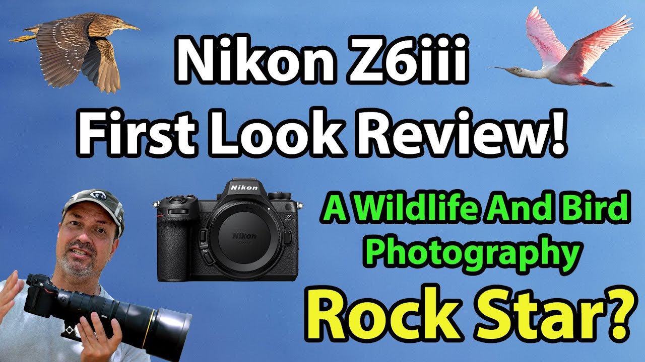 Nikon Z6 III Review for Wildlife and Bird Photographers — from Backcountry Gallery