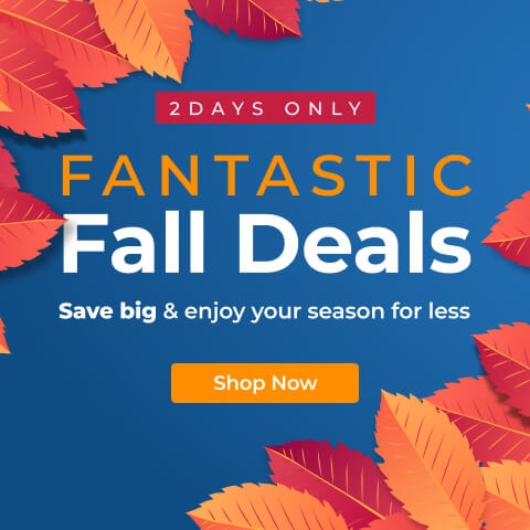 Fall sale banner