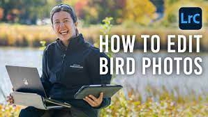 Editing Bird Photos: Tips & Techniques, with Emilie Talpin