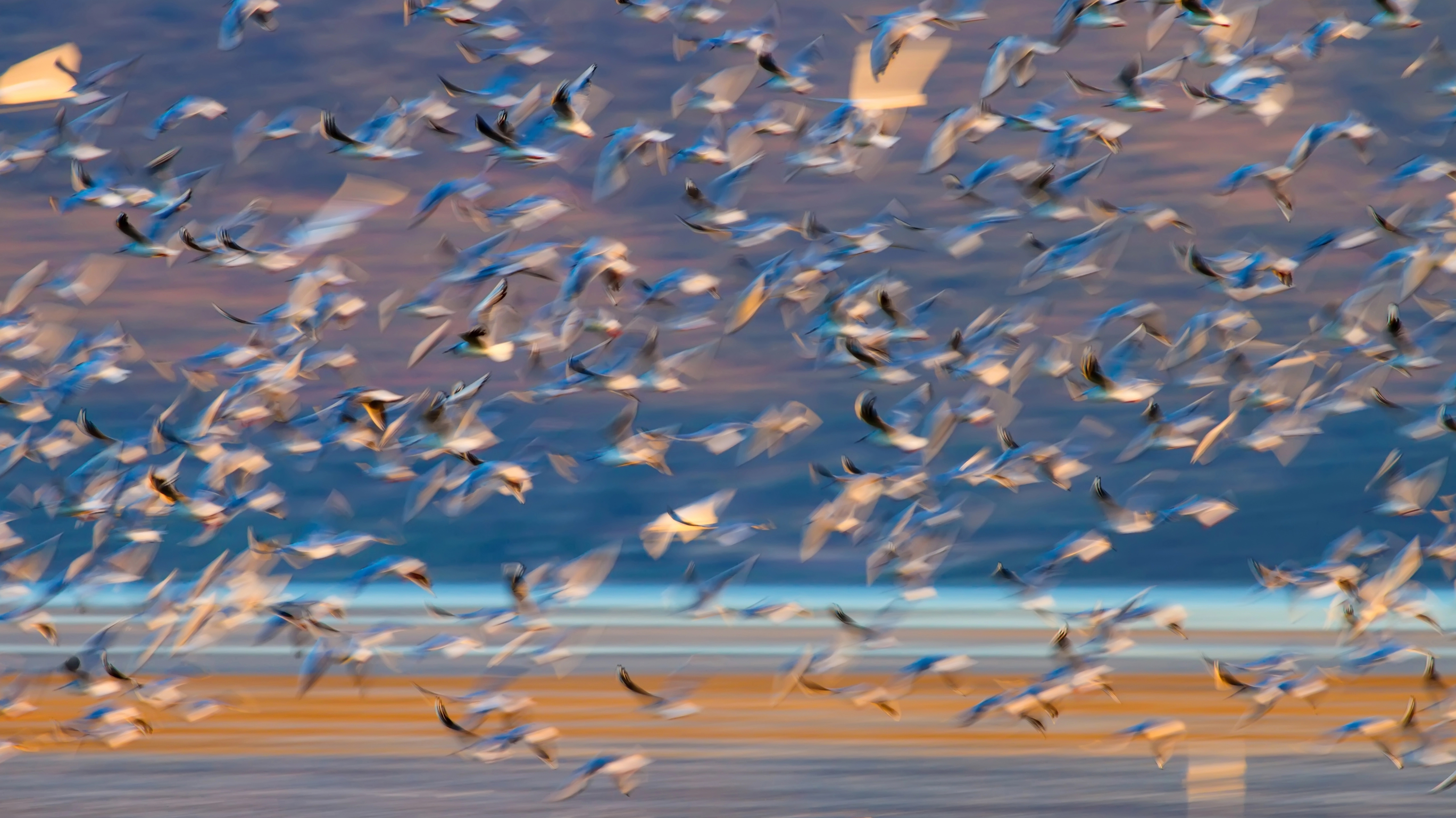 Subject, Self, Gear: Better Wildlife Photos without Buying Anything