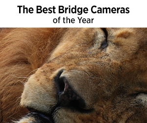 Best Bridge cams