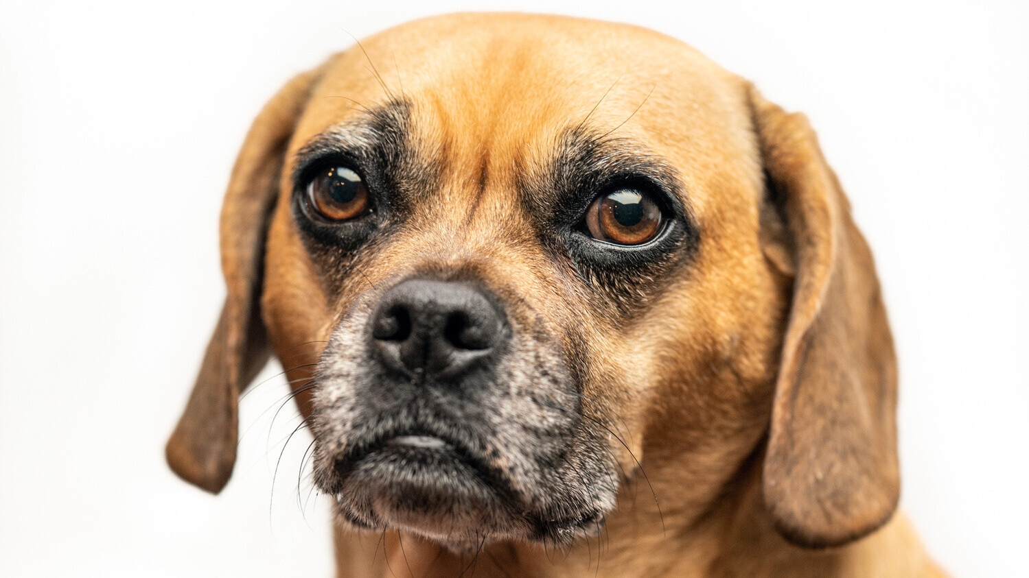 Where's the Money?: Photography Niches Growing in 2026 — from Fstoppers