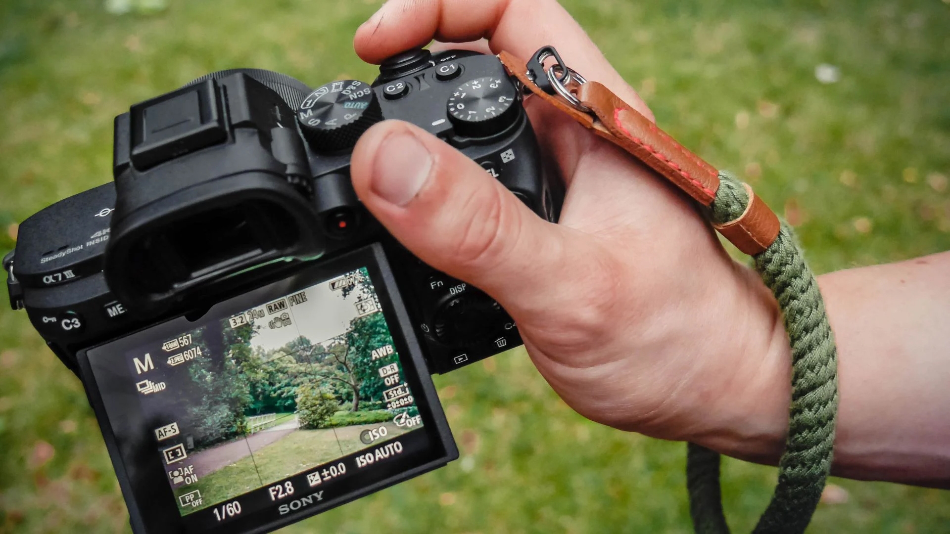 What Is Autofocus? How Camera Focus Technology Works — from DIY Photography