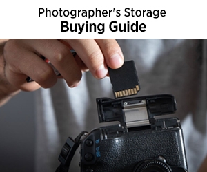 Buying Guide