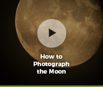 Classic Cameras: Olympus O-Product and dubble film Color Neg Film - by Allan Weitz