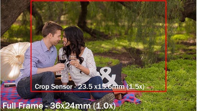 Full-Frame vs. Crop Sensor Cameras: Find the Right Fit for Your Photography — from SLR Lounge
