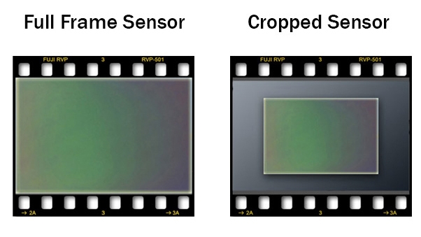 Full-Frame vs. Crop Sensor: The Right Fit for Your Photography — from SLR Lounge