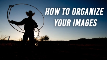 How To Organize Your Images with Adobe Lightroom