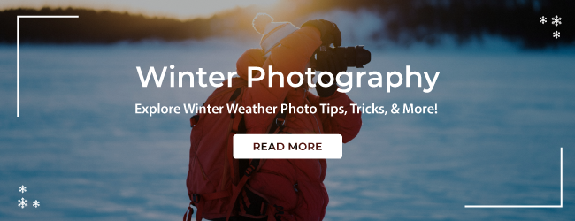 winter photography lp 2-2-26