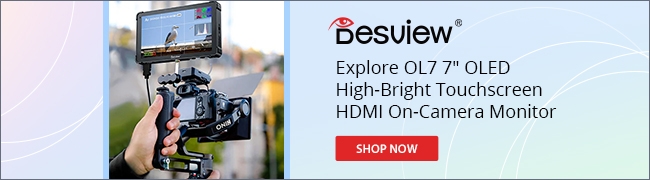 desview 2025 banner