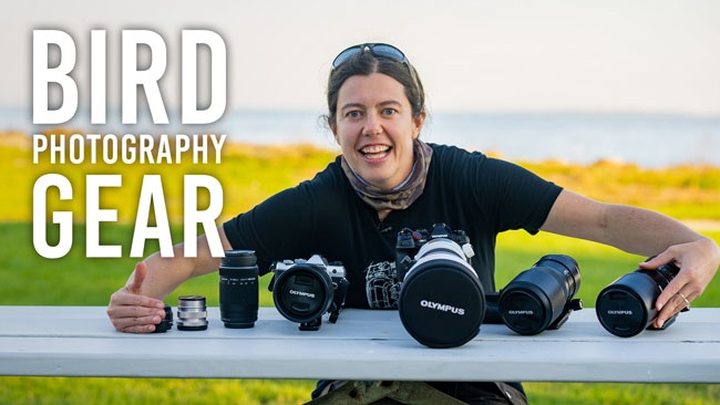 Bird Photography, Episode 3: Gear