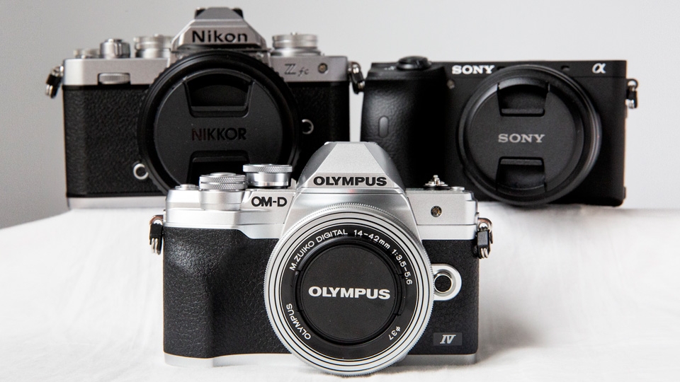 EntryLevel Cameras for Everyday Use, Best Monitors for Photo Editing