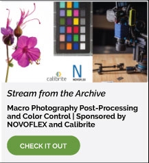 Events1-11D-Macro-