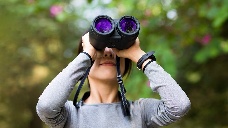 Finding the Right Pair of Binoculars for Birding