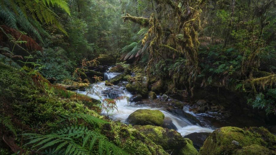 How to Use Focus Stacking for Landscape Photography — from Nature TTL