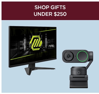 Shop Gifts Under $250