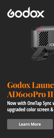 Godox L