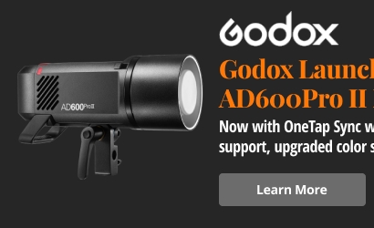 Godox L