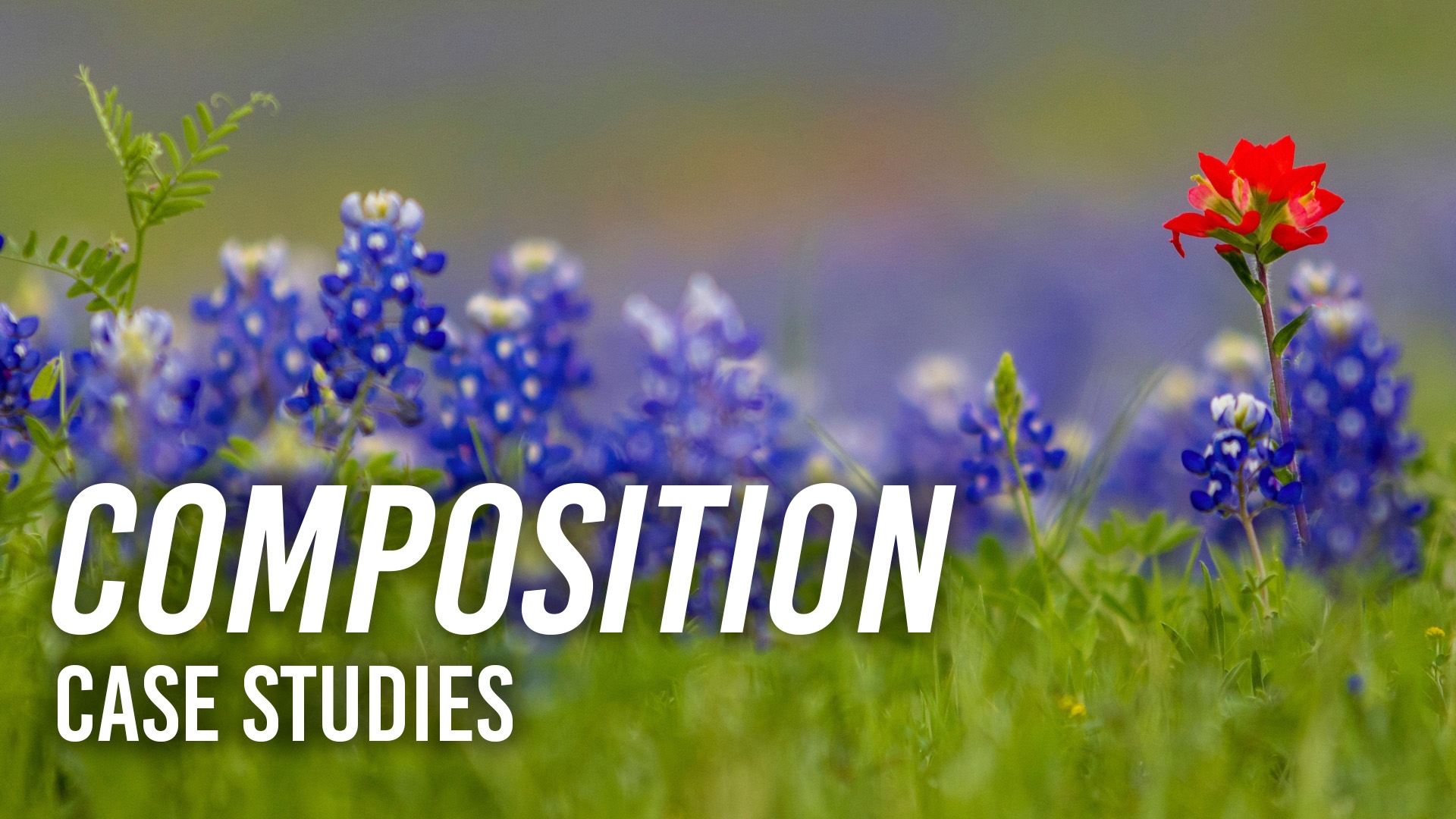 Composition Case Studies