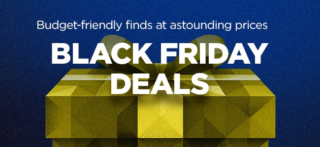 holiday BFD 11-28 banner