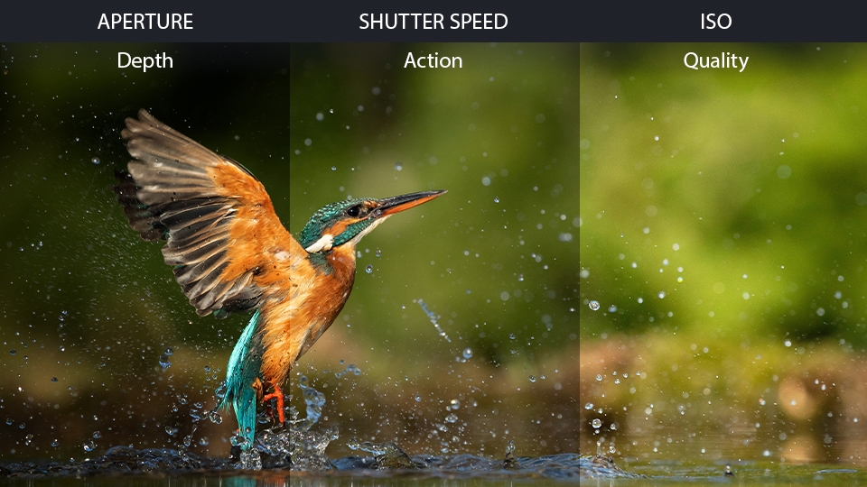What is Exposure in Photography?