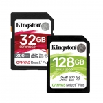 SD Memory Cards
