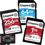 SD Memory Cards
