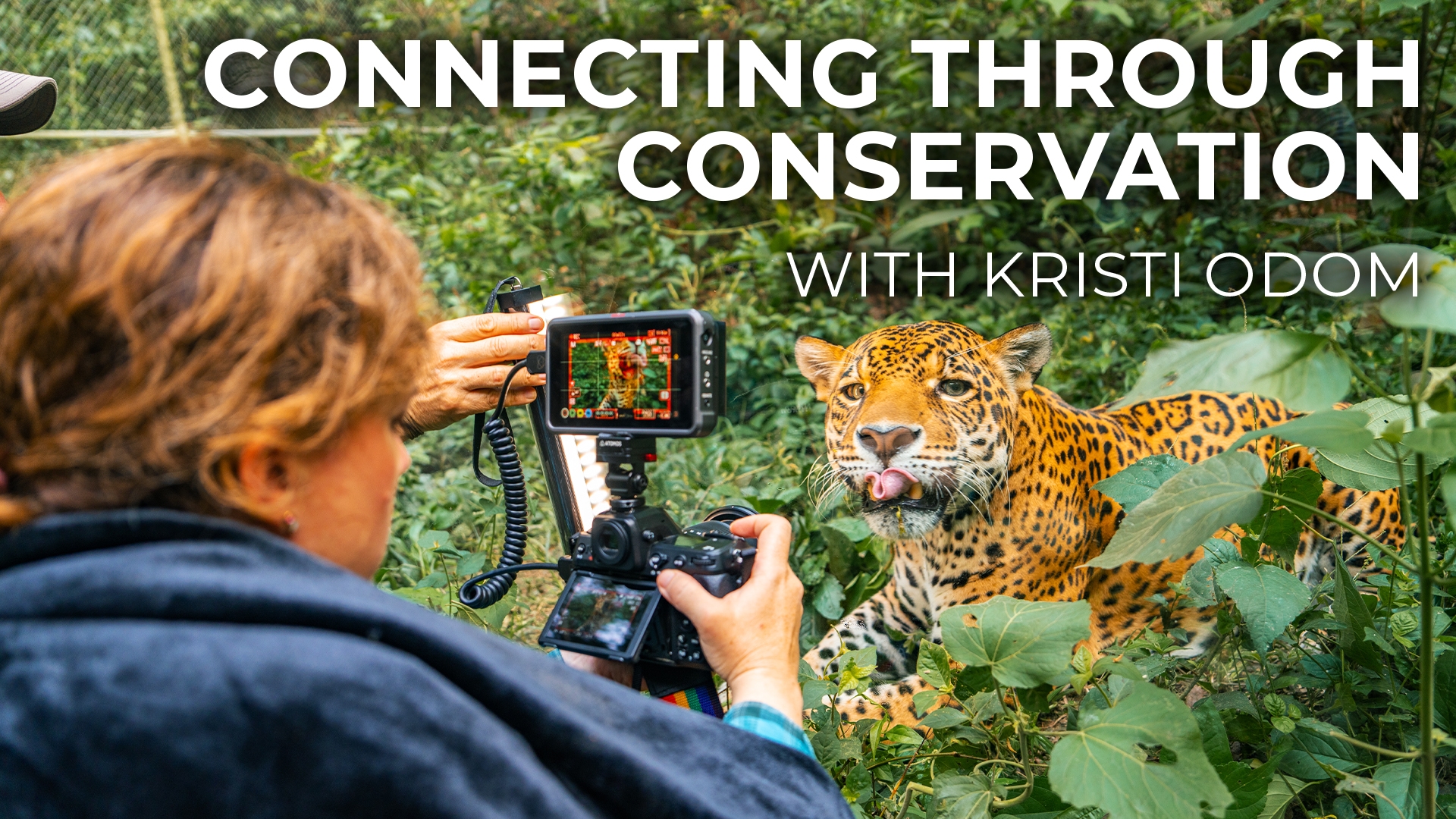 Wildlife Conservation Through Photography, with Kristi Odom