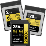 Gold Series Memory Cards